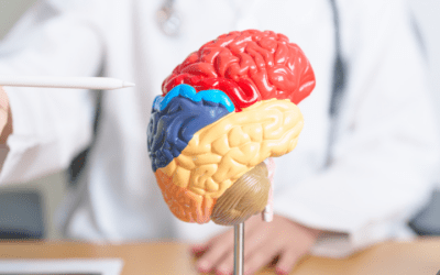 Día Mundial del Cerebro: Conciencia y Cuidado para una Mente Saludable