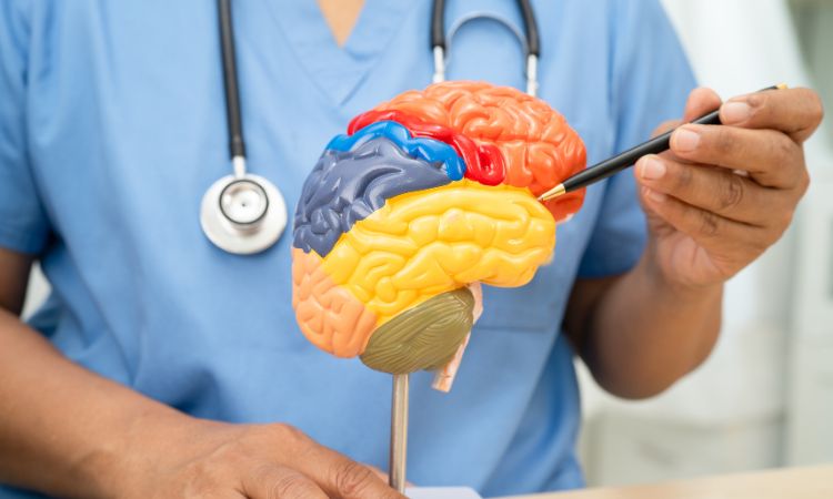 Día Mundial del Cerebro: Conciencia y Cuidado para una Mente Saludable